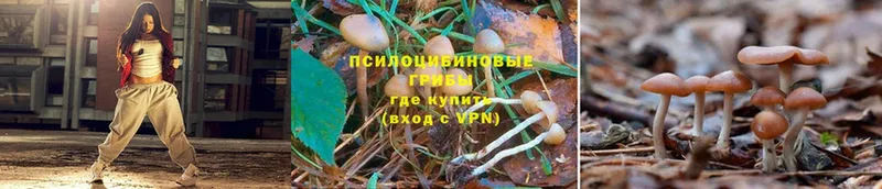 OMG ТОР  Эртиль  Галлюциногенные грибы Magic Shrooms  как найти  