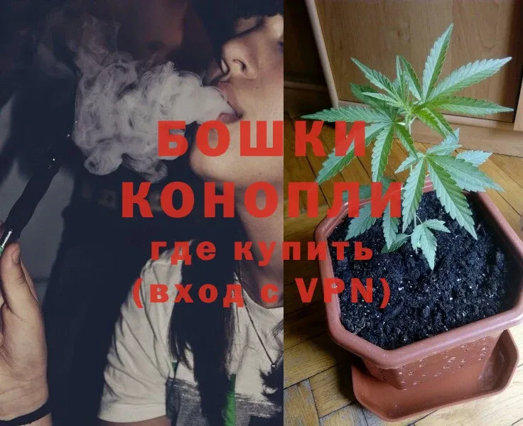 где продают   Эртиль  hydra как войти  Бошки марихуана White Widow 